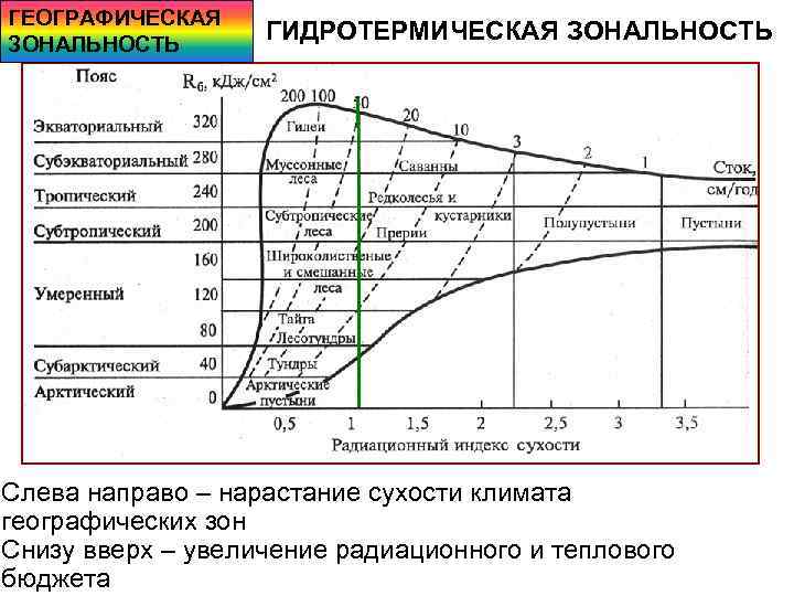 ГЕОГРАФИЧЕСКАЯ ЗОНАЛЬНОСТЬ ГИДРОТЕРМИЧЕСКАЯ ЗОНАЛЬНОСТЬ Слева направо – нарастание сухости климата географических зон Снизу вверх