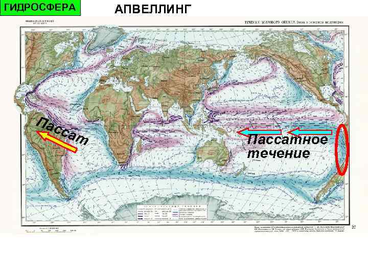 Пассатное течение. Зоны апвеллинга в мировом океане. Океанические течения. Районы апвеллинга.