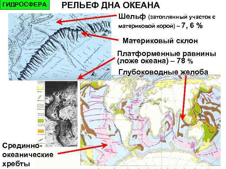 Районы шельфа на карте мирового океана. Карта шельфа мирового океана. Шельфы океанов на карте. Выделите на карте районы шельфа. Гидросфера рельеф дна.