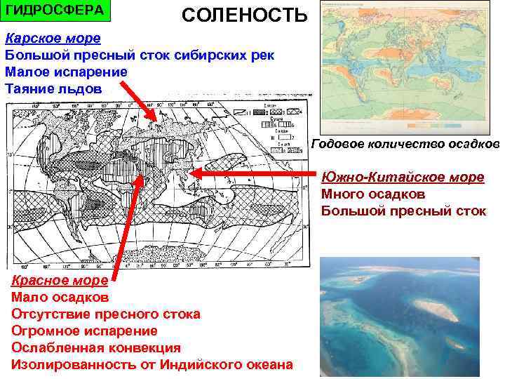 Температура карского моря. Солёность Карского моря в промилле. Карское море соленость воды. Солёность Карского моря моря. Средняя соленость Карского моря.