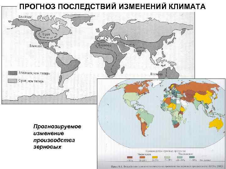 ПРОГНОЗ ПОСЛЕДСТВИЙ ИЗМЕНЕНИЙ КЛИМАТА Прогнозируемое изменение производства зерновых 