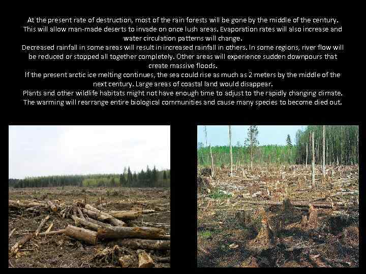 At the present rate of destruction, most of the rain forests will be gone