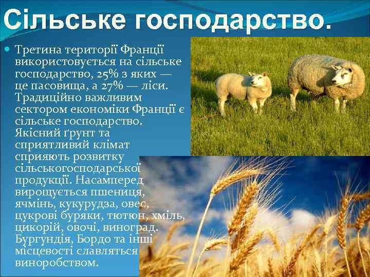 Сільське господарство. Третина території Франції використовується на сільське господарство, 25% з яких — це