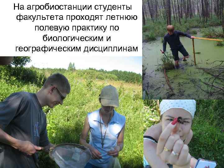 На агробиостанции студенты факультета проходят летнюю полевую практику по биологическим и географическим дисциплинам 