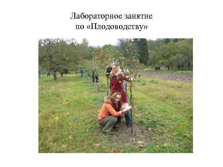 Лабораторное занятие по «Плодоводству» 