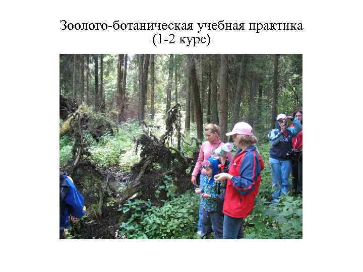 Зоолого-ботаническая учебная практика (1 -2 курс) 