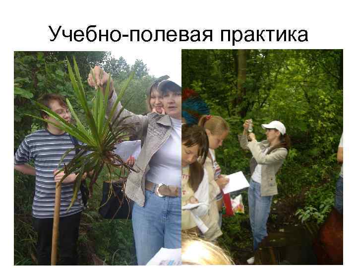Учебно-полевая практика 