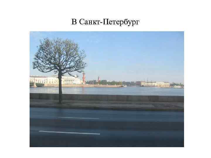В Санкт-Петербург 