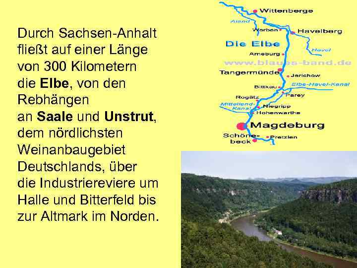 Durch Sachsen-Anhalt fließt auf einer Länge von 300 Kilometern die Elbe, von den Rebhängen