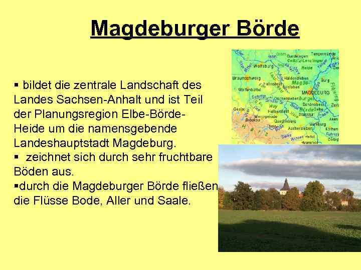 Magdeburger Börde § bildet die zentrale Landschaft des Landes Sachsen-Anhalt und ist Teil der