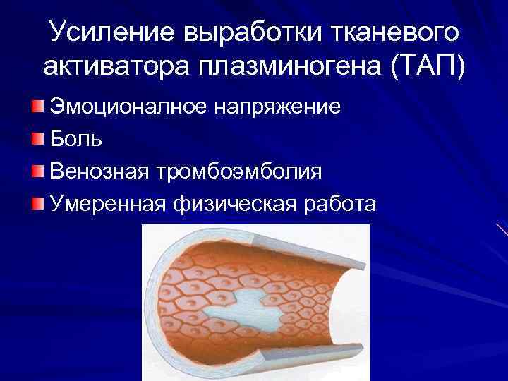 Усиление выработки тканевого активатора плазминогена (ТАП) Эмоционалное напряжение Боль Венозная тромбоэмболия Умеренная физическая работа