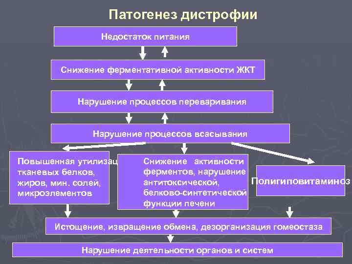 Патогенез дистрофии Недостаток питания Снижение ферментативной активности ЖКТ Нарушение процессов переваривания Нарушение процессов всасывания