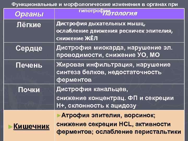 Функциональные и морфологические изменения в органах при гипотрофии Органы Лёгкие Сердце Печень Почки ►Кишечник