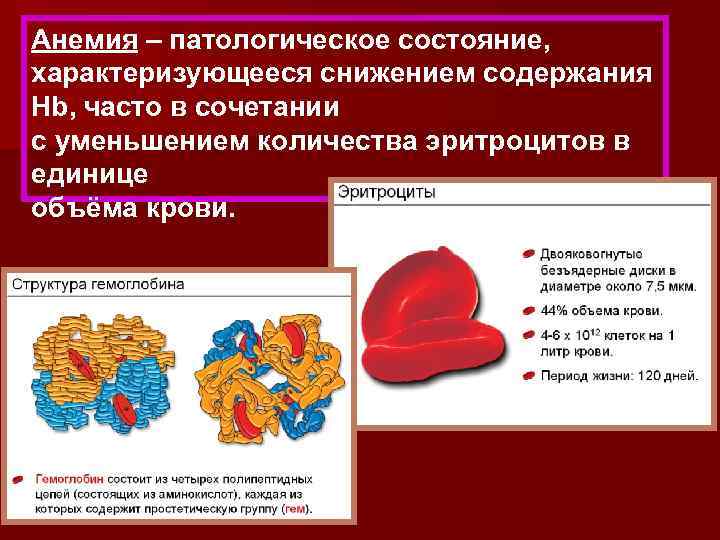 Анемия – патологическое состояние, характеризующееся снижением содержания Hb, часто в сочетании с уменьшением количества