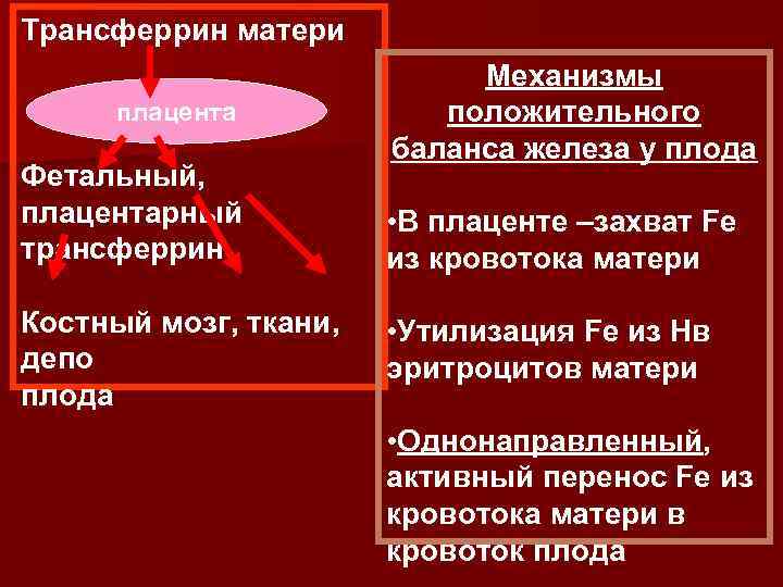 Трансферрин матери плацента Фетальный, плацентарный трансферрин Костный мозг, ткани, депо плода Механизмы положительного баланса