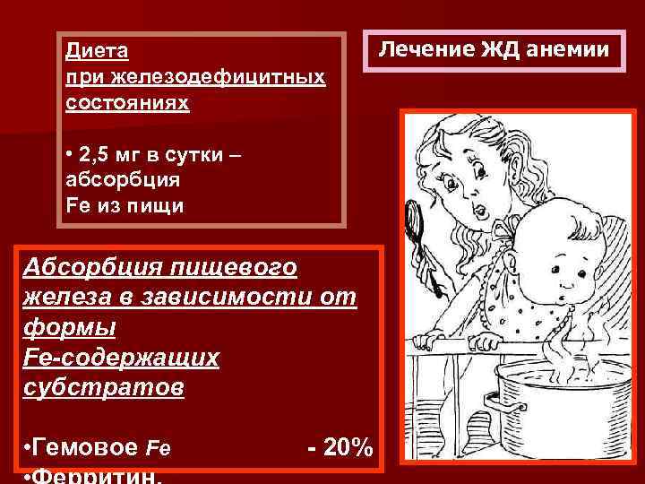 Диета при железодефицитных состояниях • 2, 5 мг в сутки – абсорбция Fe из