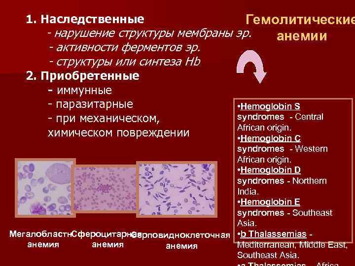 1. Наследственные Гемолитические - нарушение структуры мембраны эр. анемии - активности ферментов эр. -