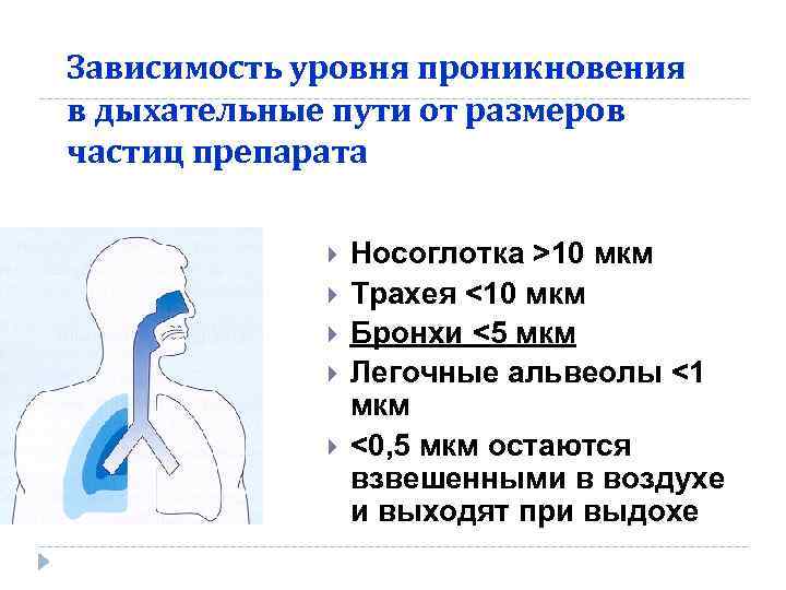 Зависимость уровня проникновения в дыхательные пути от размеров частиц препарата Носоглотка >10 мкм Трахея