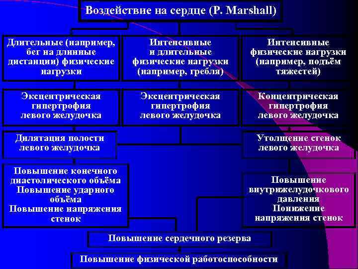 Воздействие на сердце (P. Marshall) Длительные (например, бег на длинные дистанции) физические нагрузки Интенсивные