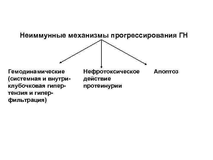 Неиммунные механизмы прогрессирования ГН Гемодинамические (системная и внутриклубочковая гипертензия и гиперфильтрация) Нефротоксическое действие протеинурии