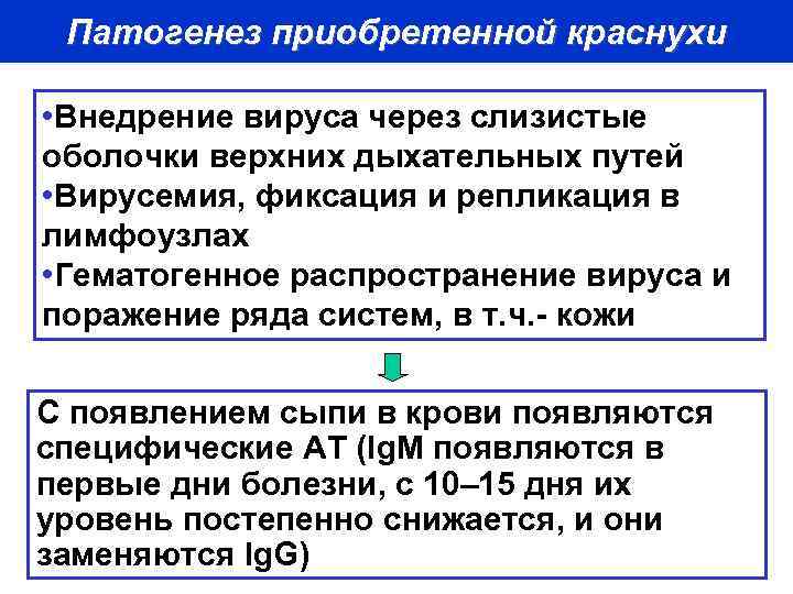 Патогенез приобретенной краснухи • Внедрение вируса через слизистые оболочки верхних дыхательных путей • Вирусемия,