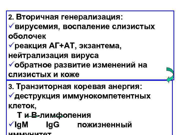 2. Вторичная генерализация: üвирусемия, воспаление слизистых оболочек üреакция АГ+АТ, экзантема, нейтрализация вируса üобратное развитие