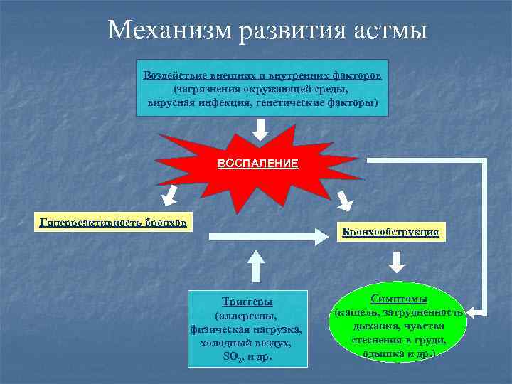 Механизм развития астмы Воздействие внешних и внутренних факторов (загрязнения окружающей среды, вирусная инфекция, генетические