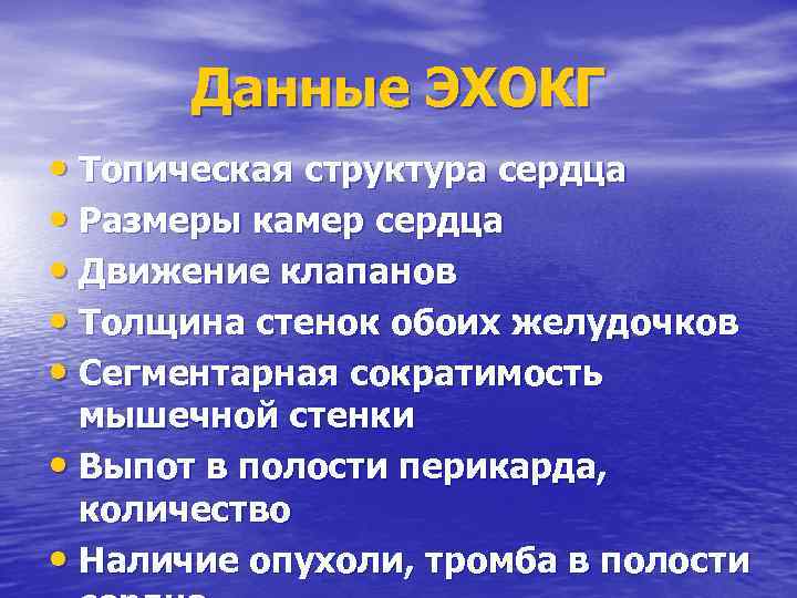 Данные ЭХОКГ • Топическая структура сердца • Размеры камер сердца • Движение клапанов •