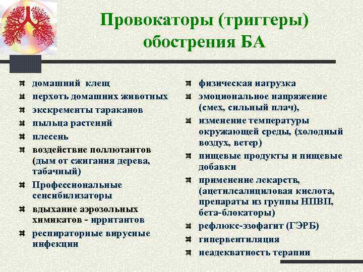 Провокаторы (триггеры) обострения БА домашний клещ перхоть домашних животных экскременты тараканов пыльца растений плесень