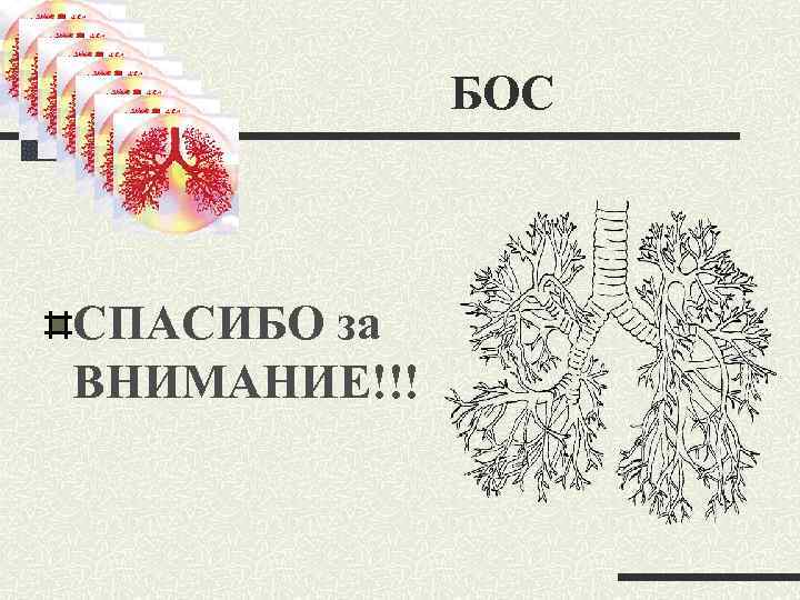 БОС СПАСИБО за ВНИМАНИЕ!!! 