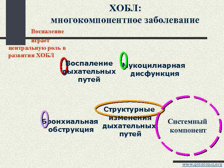 ХОБЛ: многокомпонентное заболевание Воспаление играет центральную роль в развитии ХОБЛ Воспаление Мукоцилиарная дыхательных дисфункция