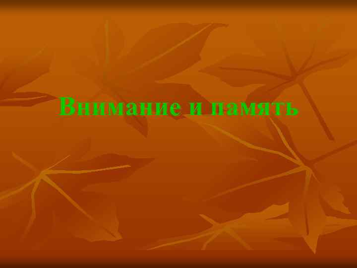 Внимание и память 