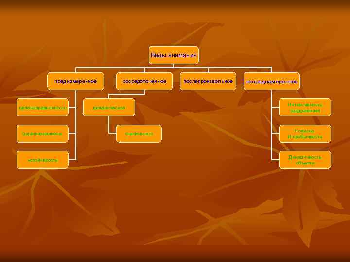 Виды внимания преднамеренное целенаправленность организованность устойчивость сосредоточенное послепроизвольное непреднамеренное Интенсивность раздражения динамическое статическое Новизна