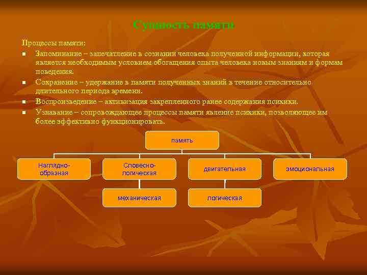 Сущность памяти Процессы памяти: n Запоминание – запечатление в сознании человека полученной информации, которая
