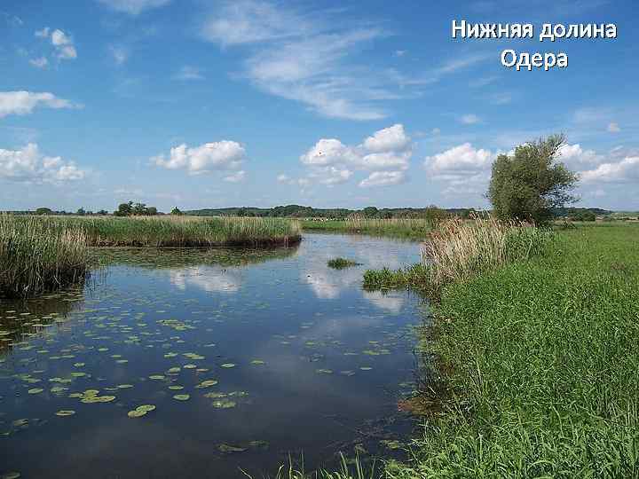 Нижняя долина Одера 