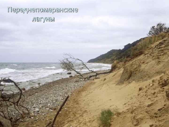 Переднепомеранские лагуны 