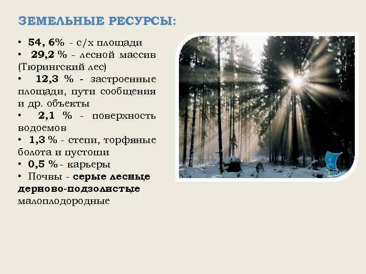 ЗЕМЕЛЬНЫЕ РЕСУРСЫ: • 54, 6% - с/х площади • 29, 2 % - лесной