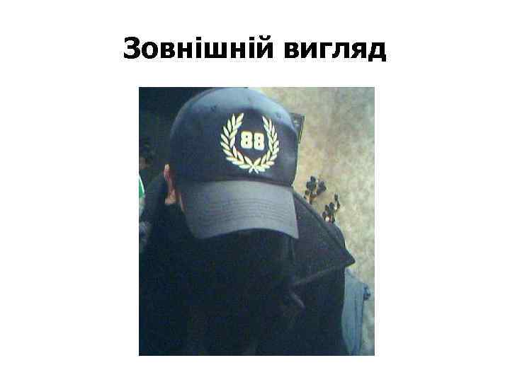 Зовнішній вигляд 