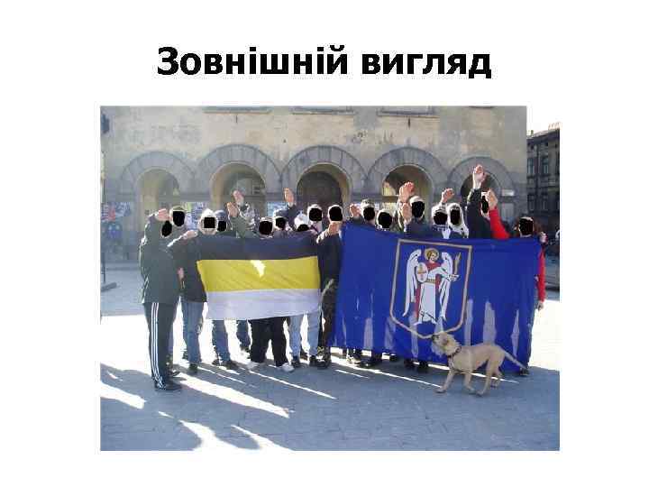 Зовнішній вигляд 