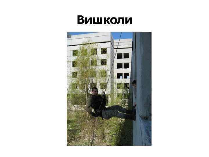 Вишколи 