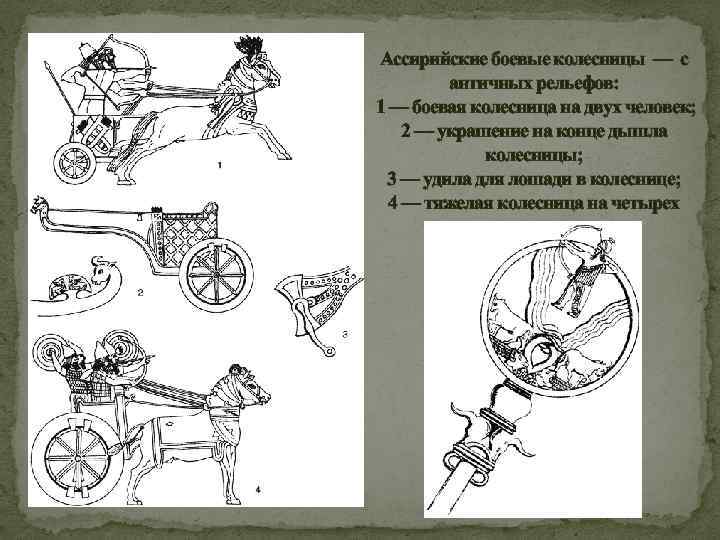 Ассирийские боевые колесницы — с античных рельефов: 1 — боевая колесница на двух человек;
