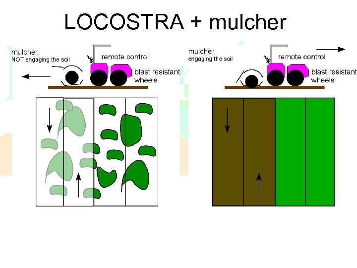 LOCOSTRA + mulcher 