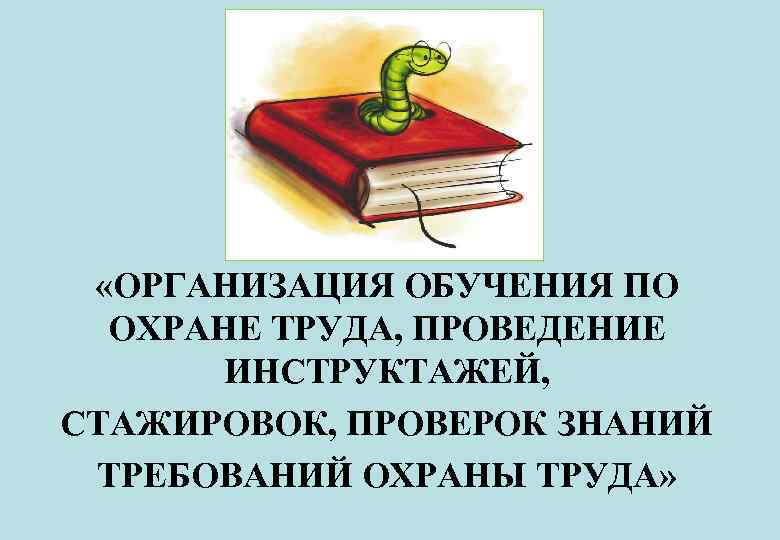  «ОРГАНИЗАЦИЯ ОБУЧЕНИЯ ПО ОХРАНЕ ТРУДА, ПРОВЕДЕНИЕ ИНСТРУКТАЖЕЙ, СТАЖИРОВОК, ПРОВЕРОК ЗНАНИЙ ТРЕБОВАНИЙ ОХРАНЫ ТРУДА»