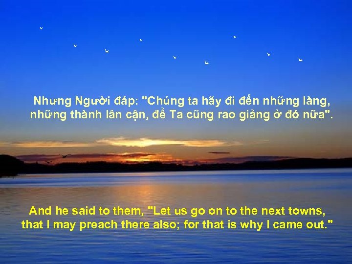 Nhưng Người đáp: 