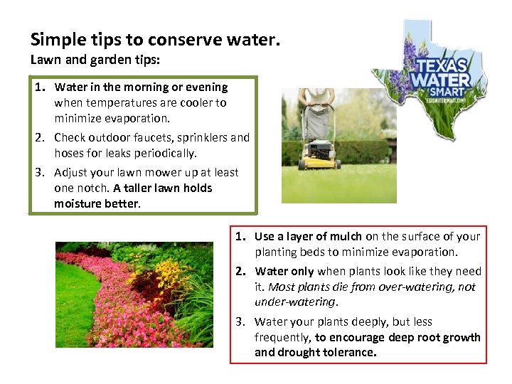 Simple tips to conserve water. Lawn and garden tips: 1. Water in the morning