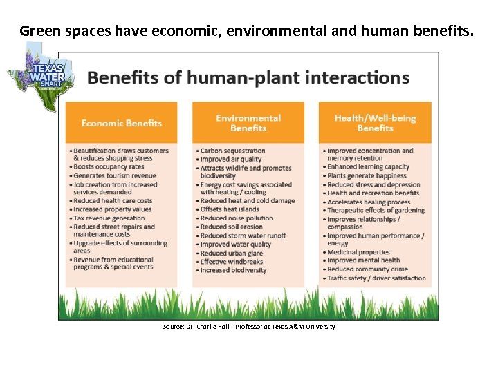 Green spaces have economic, environmental and human benefits. Source: Dr. Charlie Hall – Professor
