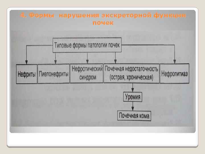4. Формы нарушения экскреторной функции почек 