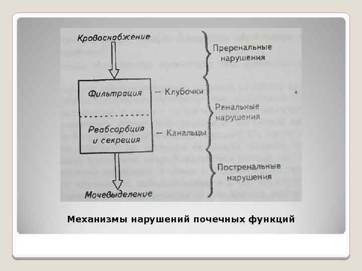 Механизмы нарушений почечных функций 