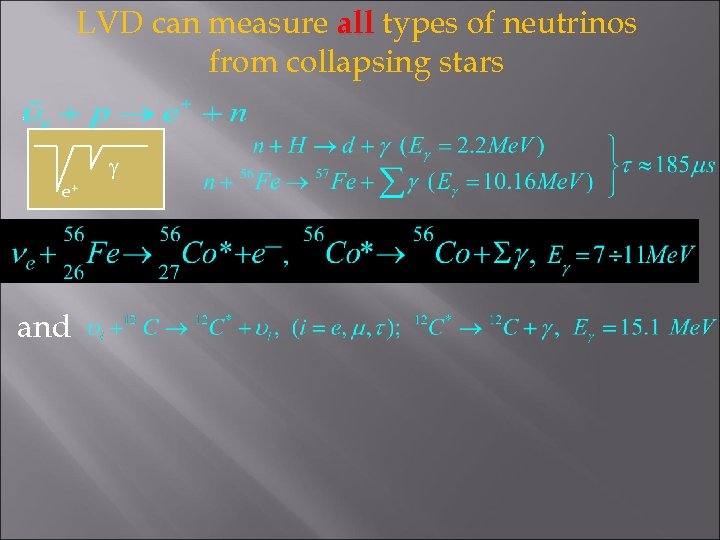 LVD can measure all types of neutrinos from collapsing stars g e+ and 