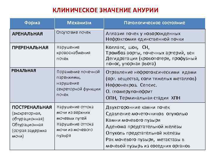 КЛИНИЧЕСКОЕ ЗНАЧЕНИЕ АНУРИИ Форма Механизм Патологическое состояние АРЕНАЛЬНАЯ Отсутствие почек Аплазия почек у новорожденных